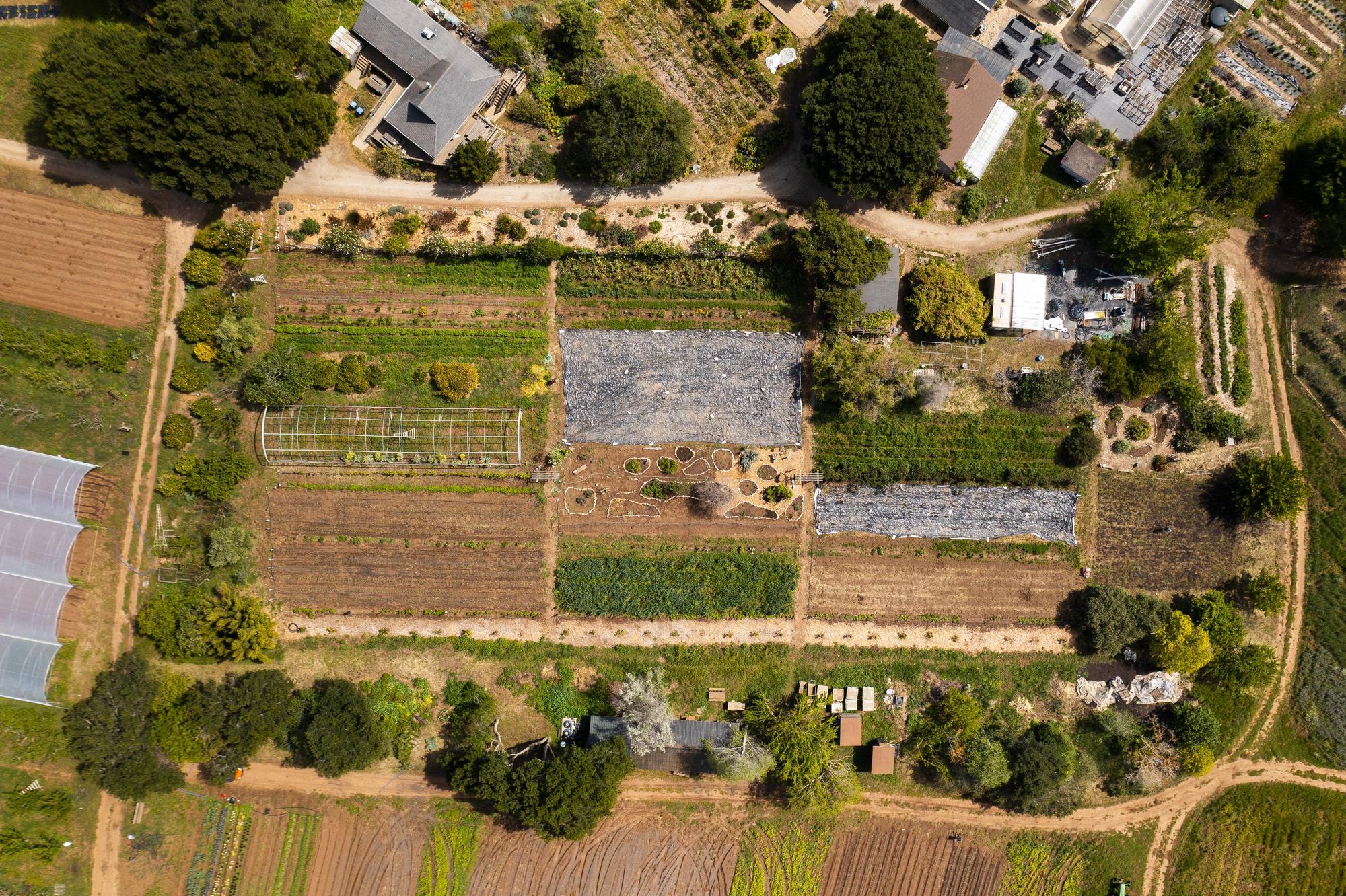 Aerial image looking down on plots of crops and projects at the UC Santa Cruz Farm