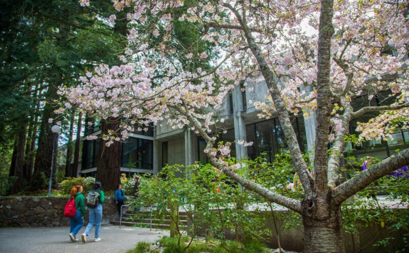 Students walking in to McHenry library 