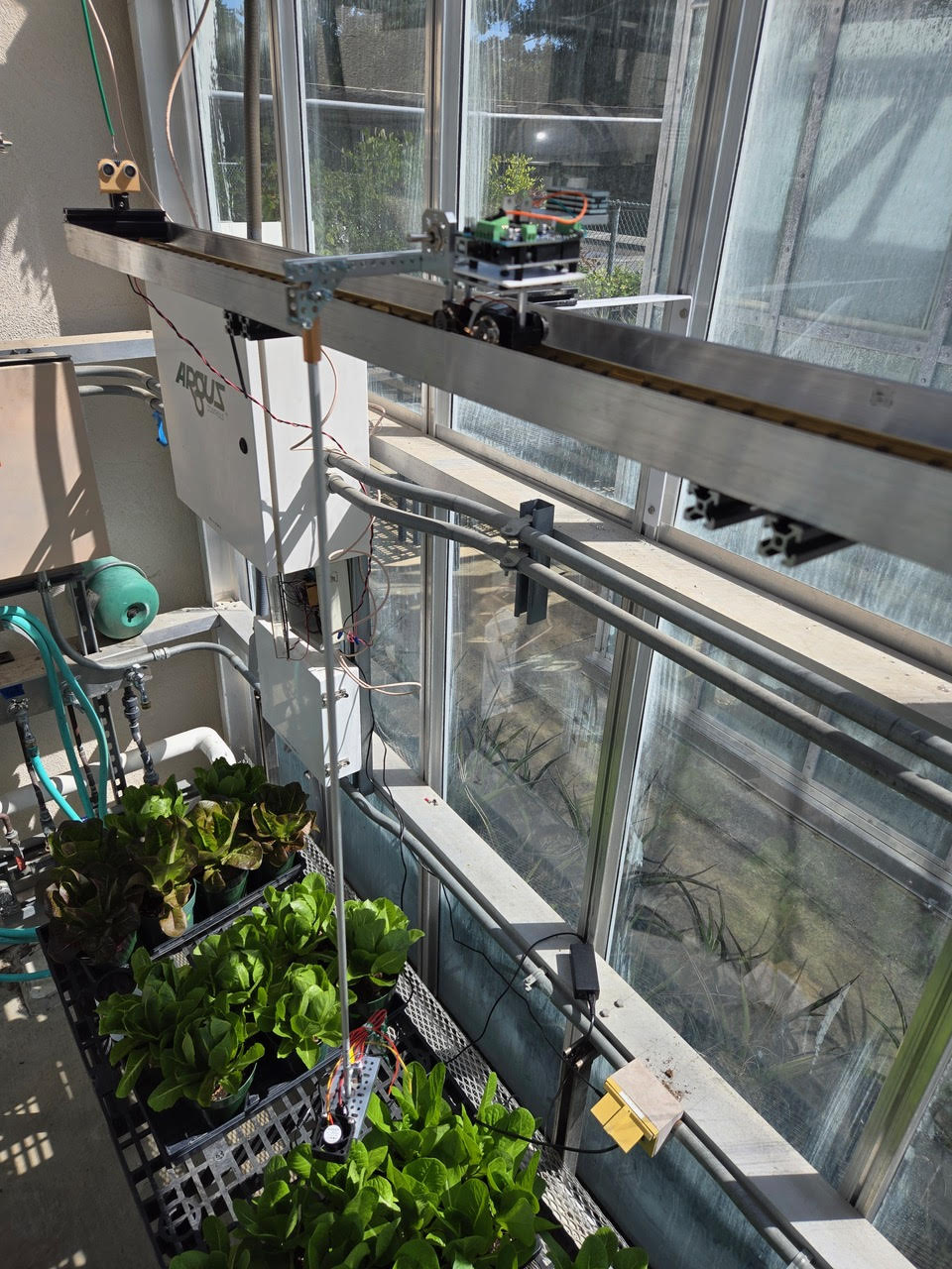 plants in testing environment 