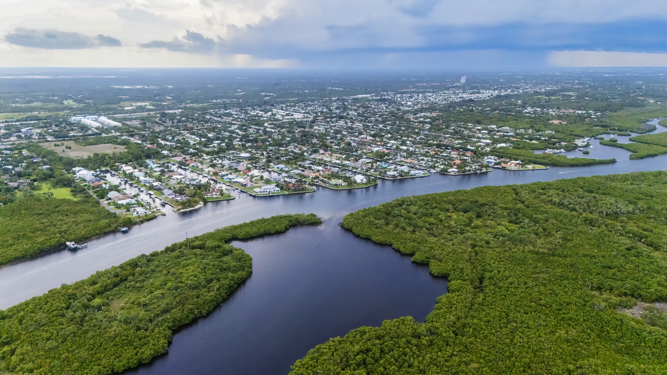 Aerial photo of mangroves across a canal from coastal homes in Florida
