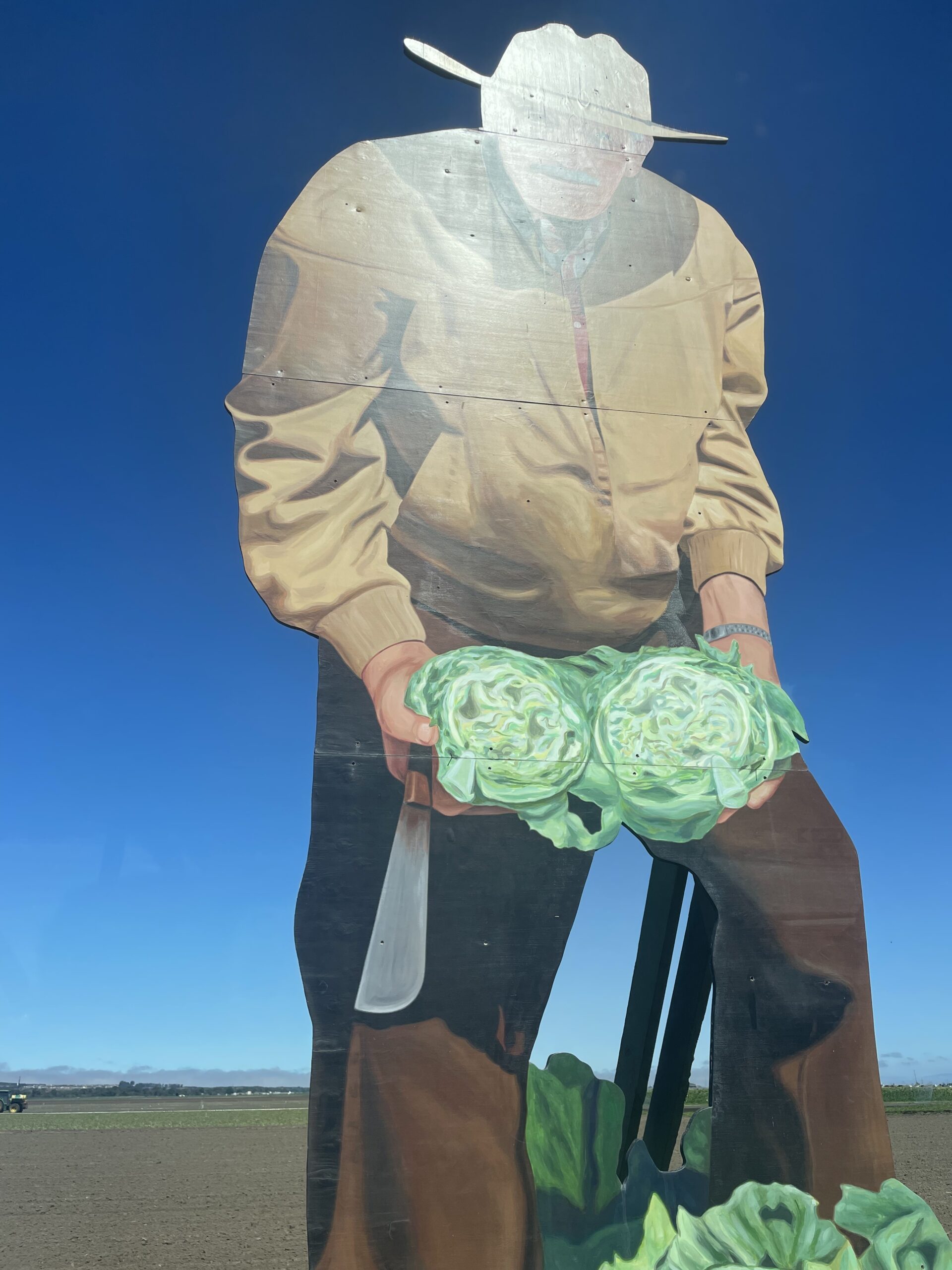 This art stands tall in the middle of the Salinas Valley lettuce fields, known as the “salad bowl of the world.” It is, I think, meant to commemorate the farmworkers whose skilled yet devalued labor has built the valley into an agricultural powerhouse. Photo by S. Sullivan.