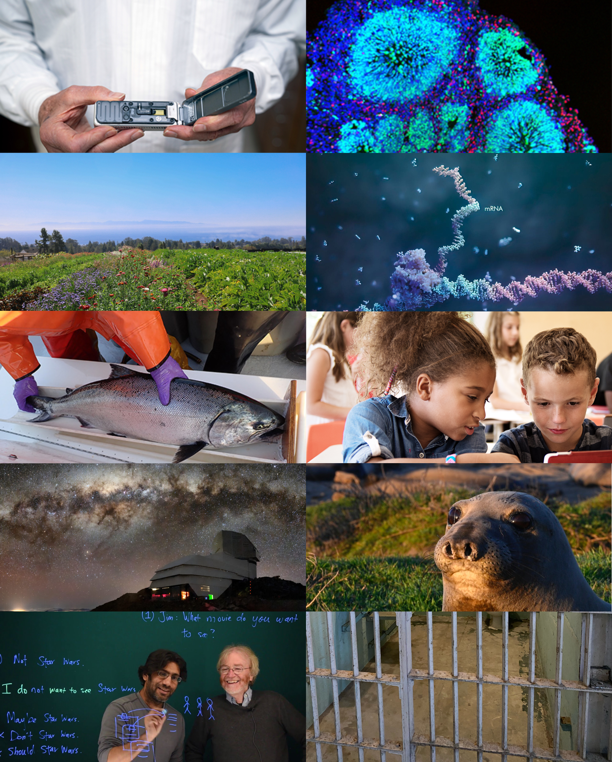 Collage of images: Nanopore sequencer, genomics graphic, farm, ribosome, salmon, children, observatory, seal, linguistics professor, prison cell