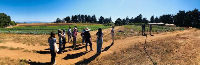 High school students from the Salinas Valley participating in a field site visit at UCSC Farm, exploring sustainable agriculture and learning about insect sampling methods. Photo by T. Vavuris.